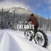 The 5 Best Fat Bikes 