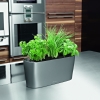 Self-Watering Indoor Planter 